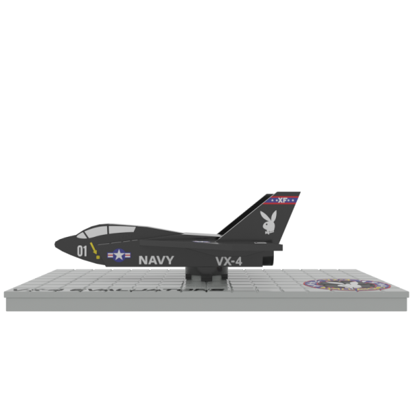 Avión F-14 Vx-4 Evaluators B01