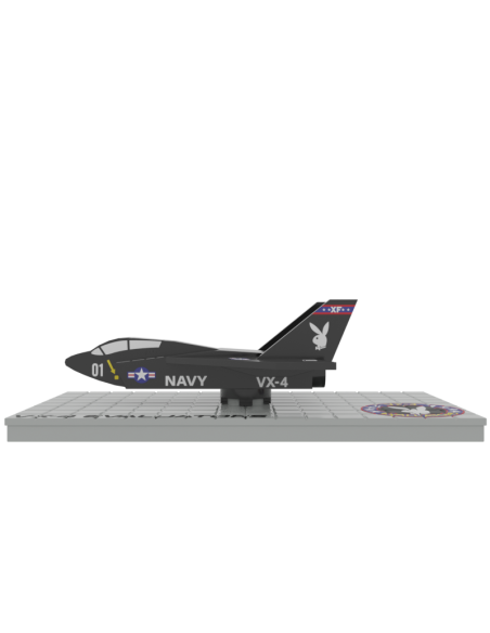 Avión F-14 Vx-4 Evaluators B01