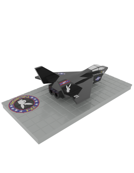 Avión F-14 Vx-4 Evaluators B01