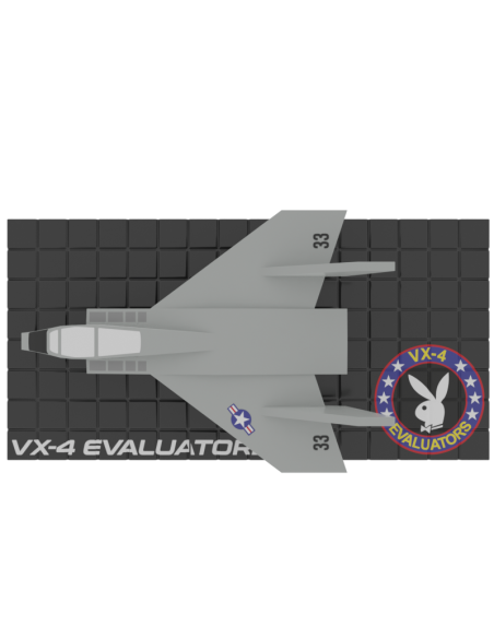Avión F-14 Vx-4 Evaluators D33