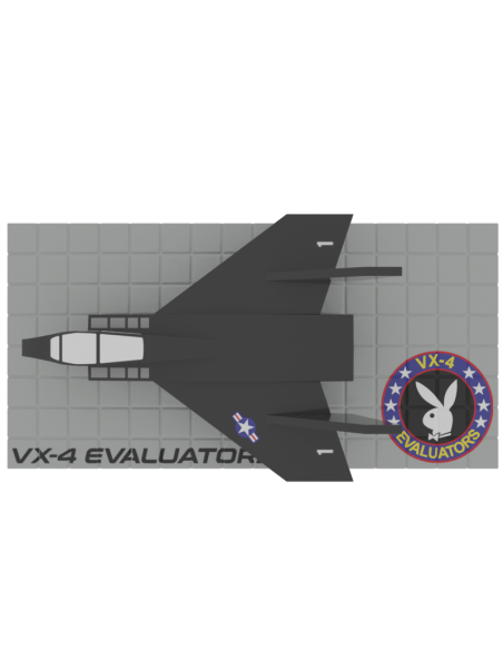 Avión F-14 Vx-4 Evaluators A1
